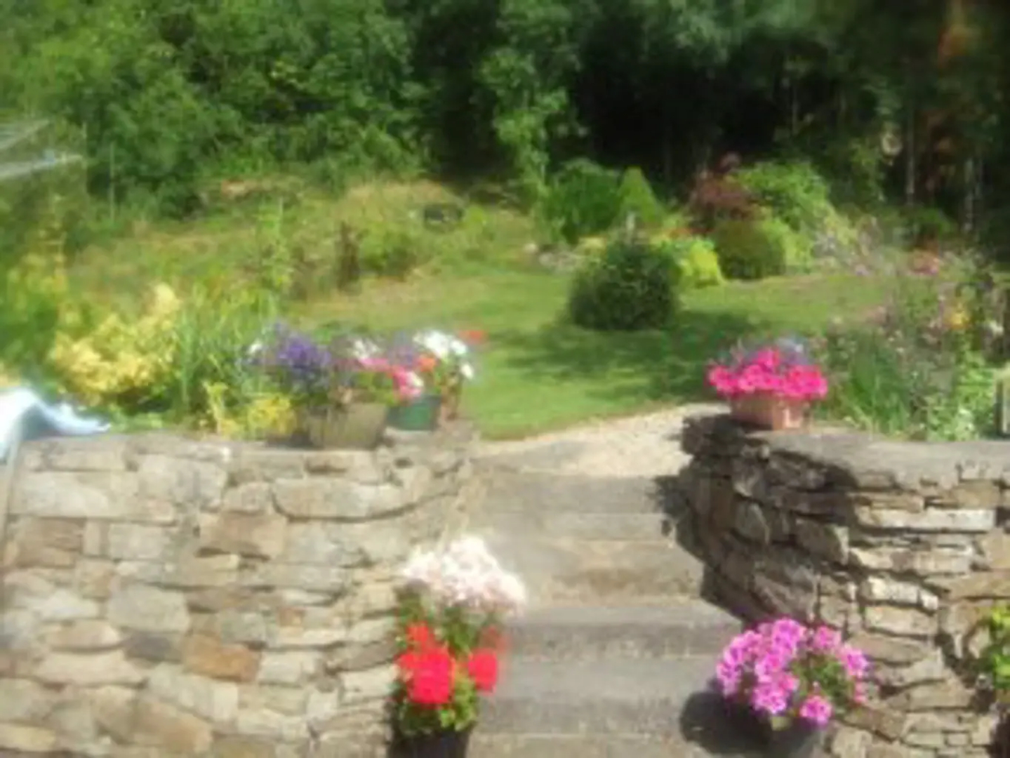 Elderberry B&B