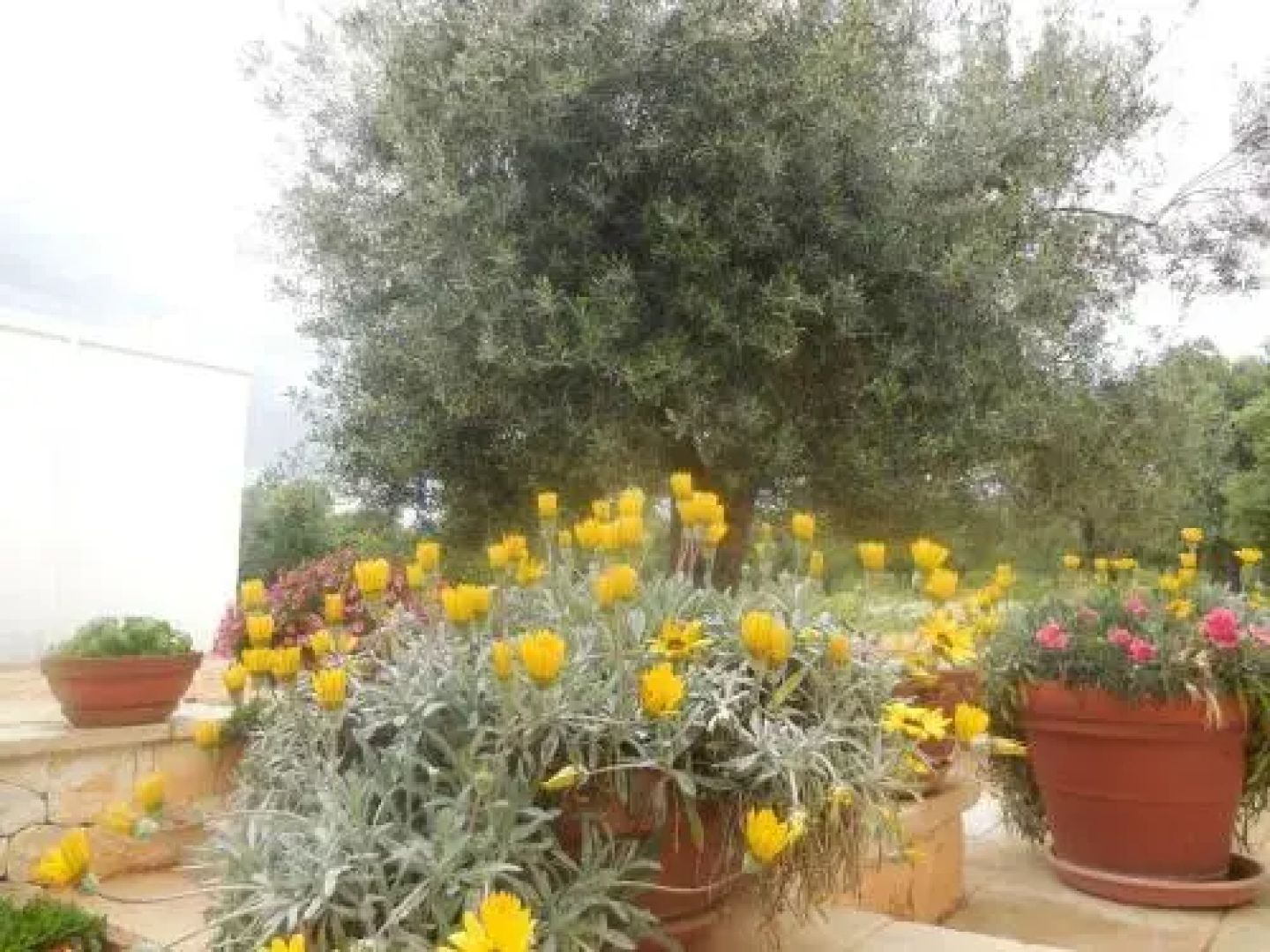 Masseria Pezze Galere