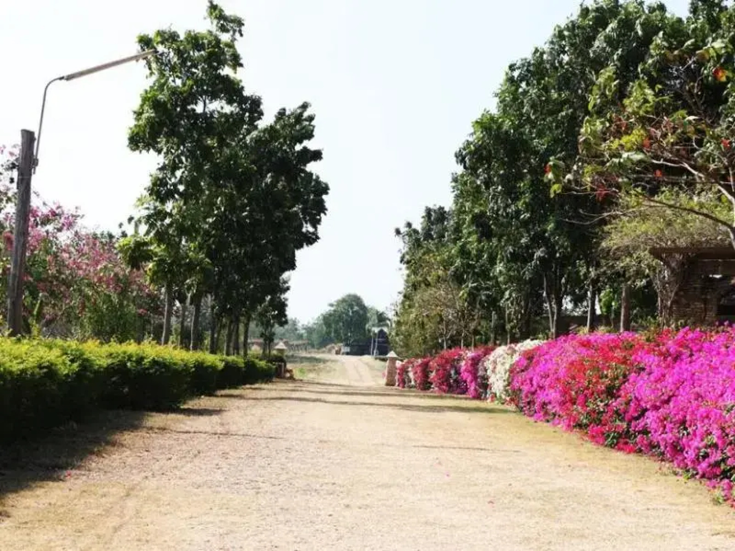 Greenhill Resort Muaklek