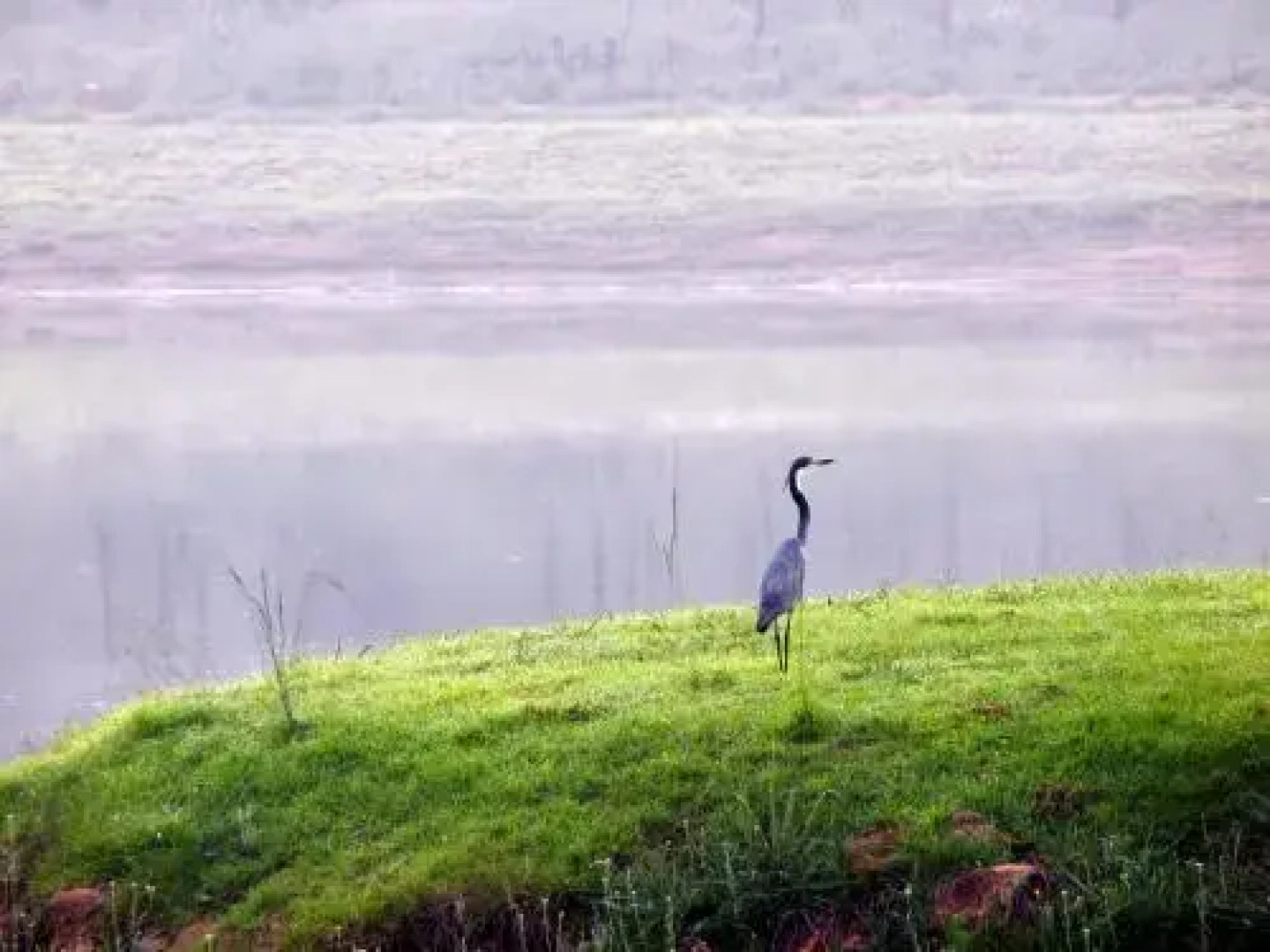 Willowbrooke Cottage