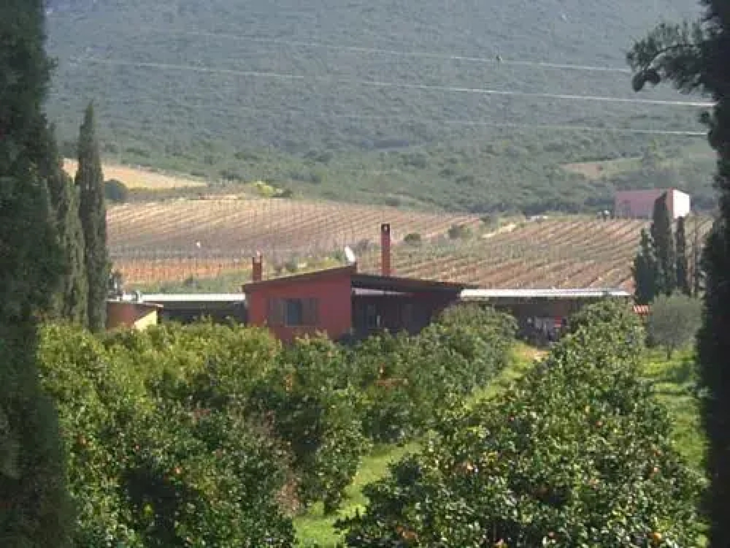 Farms stay LAgrumeto