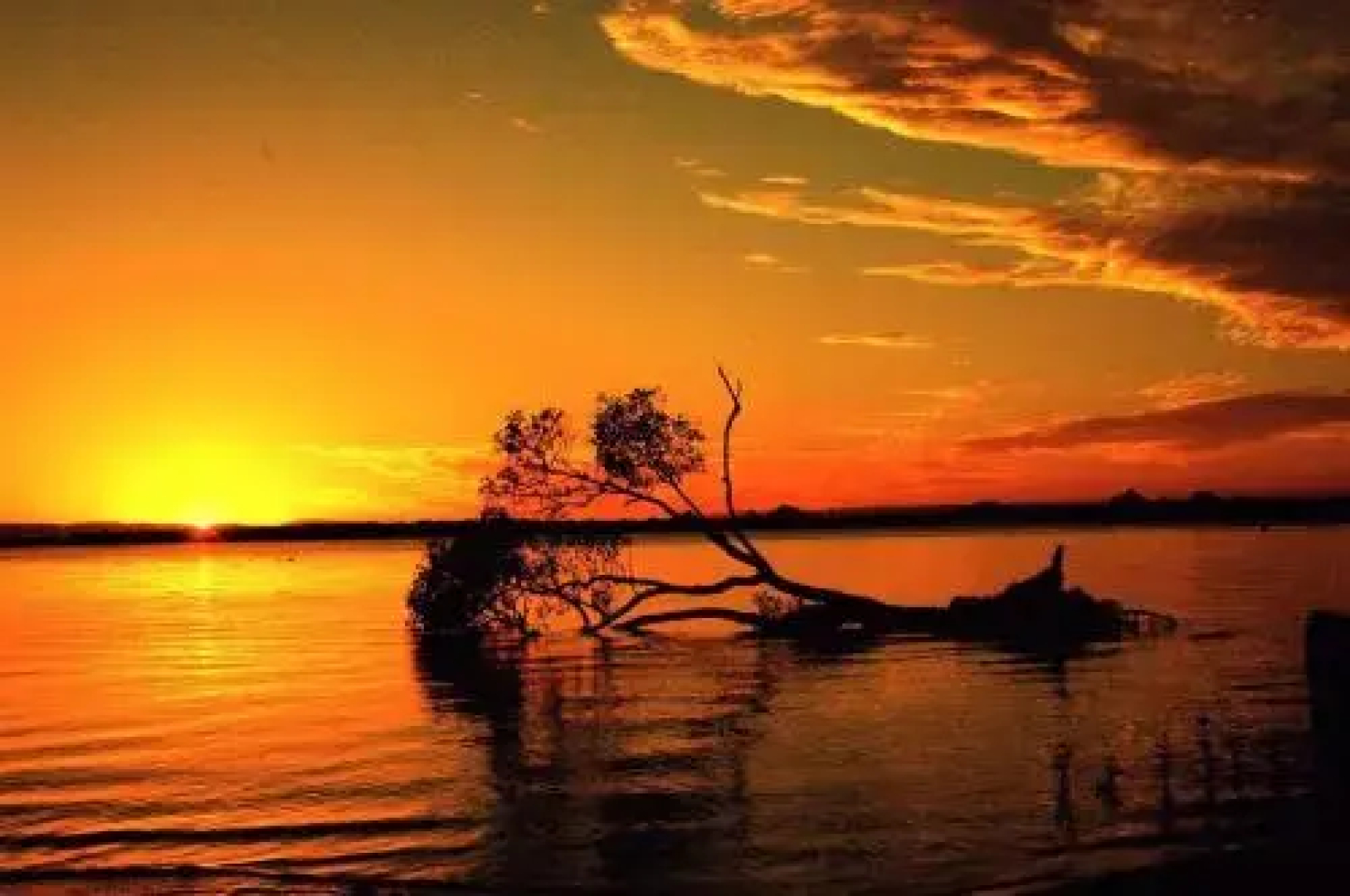 Pet Friendly Cottage in the Heart of Bribie - Wirraway St, Bongaree