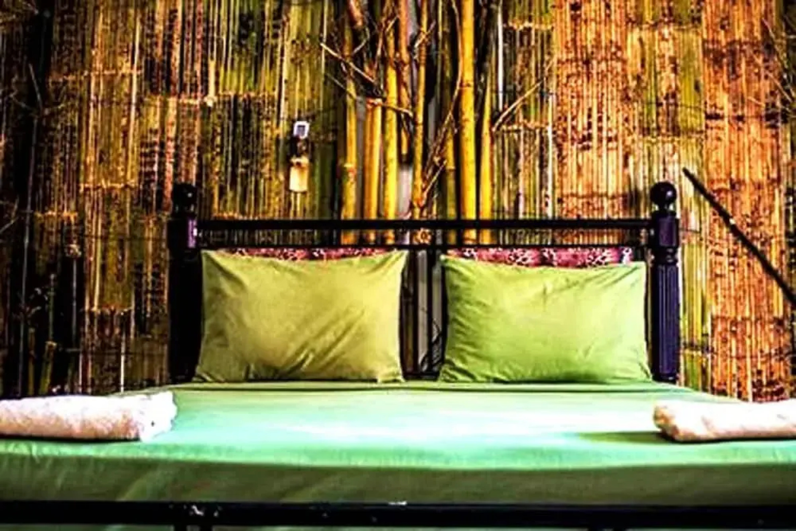 The Rabbit Tree - Hostel