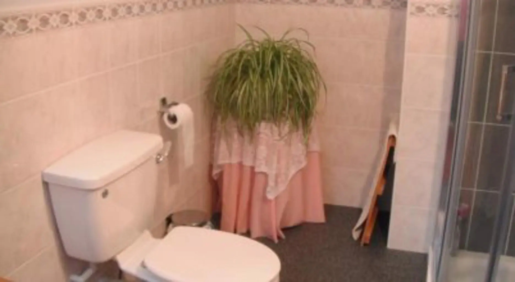 Narrow Gauge B&B