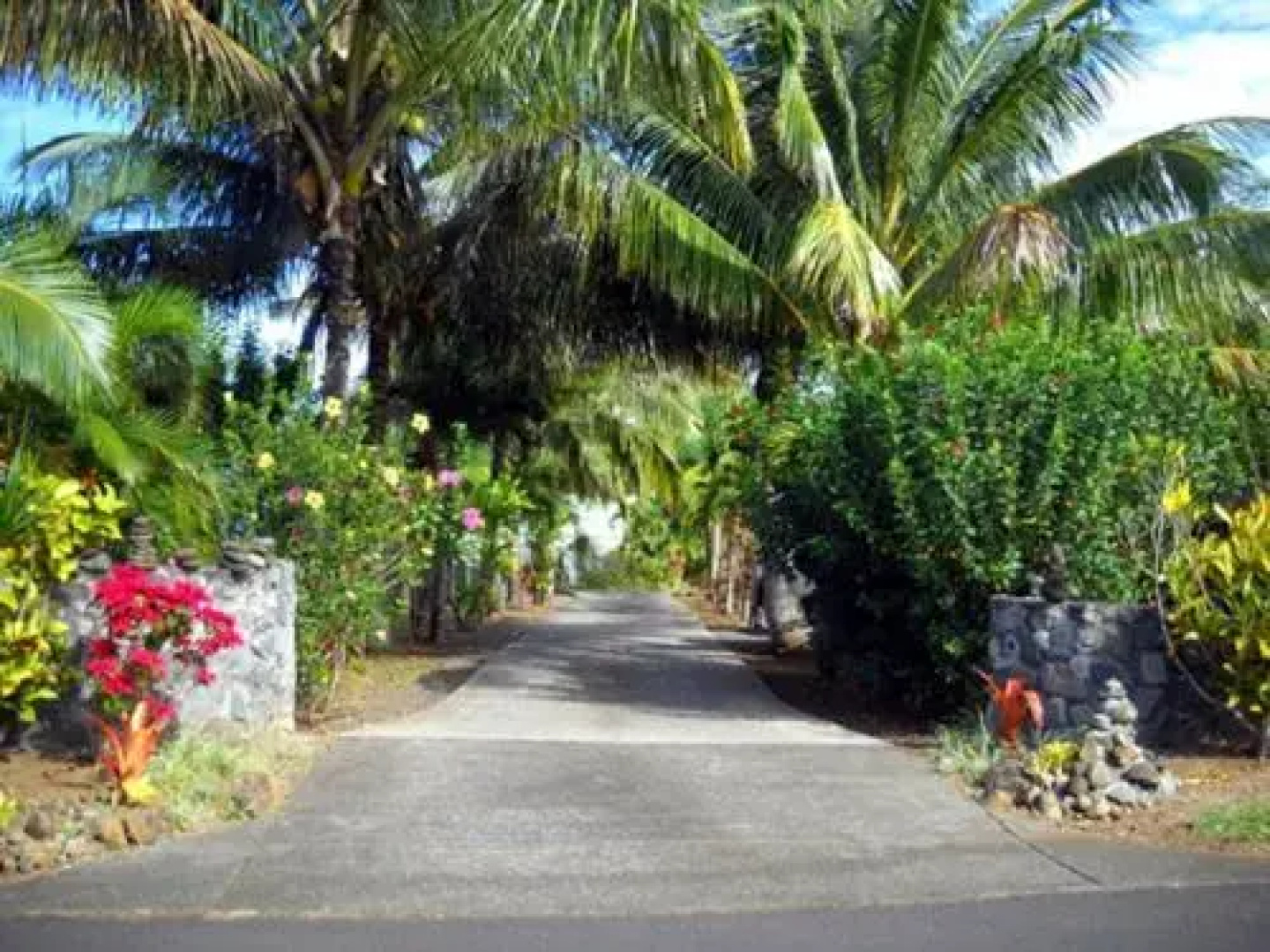 Ocean Breeze Organic Farm