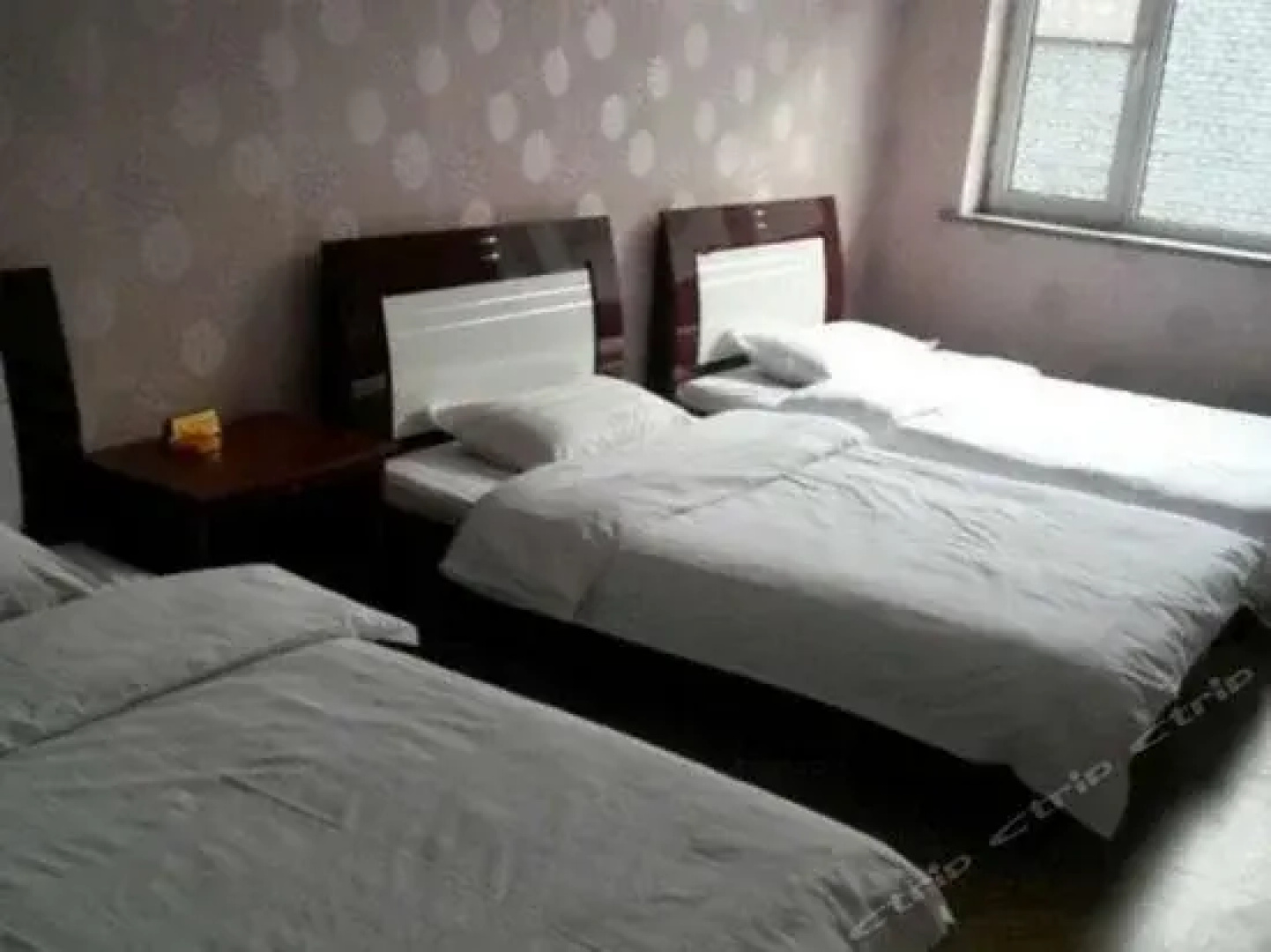 Pujing Hotel