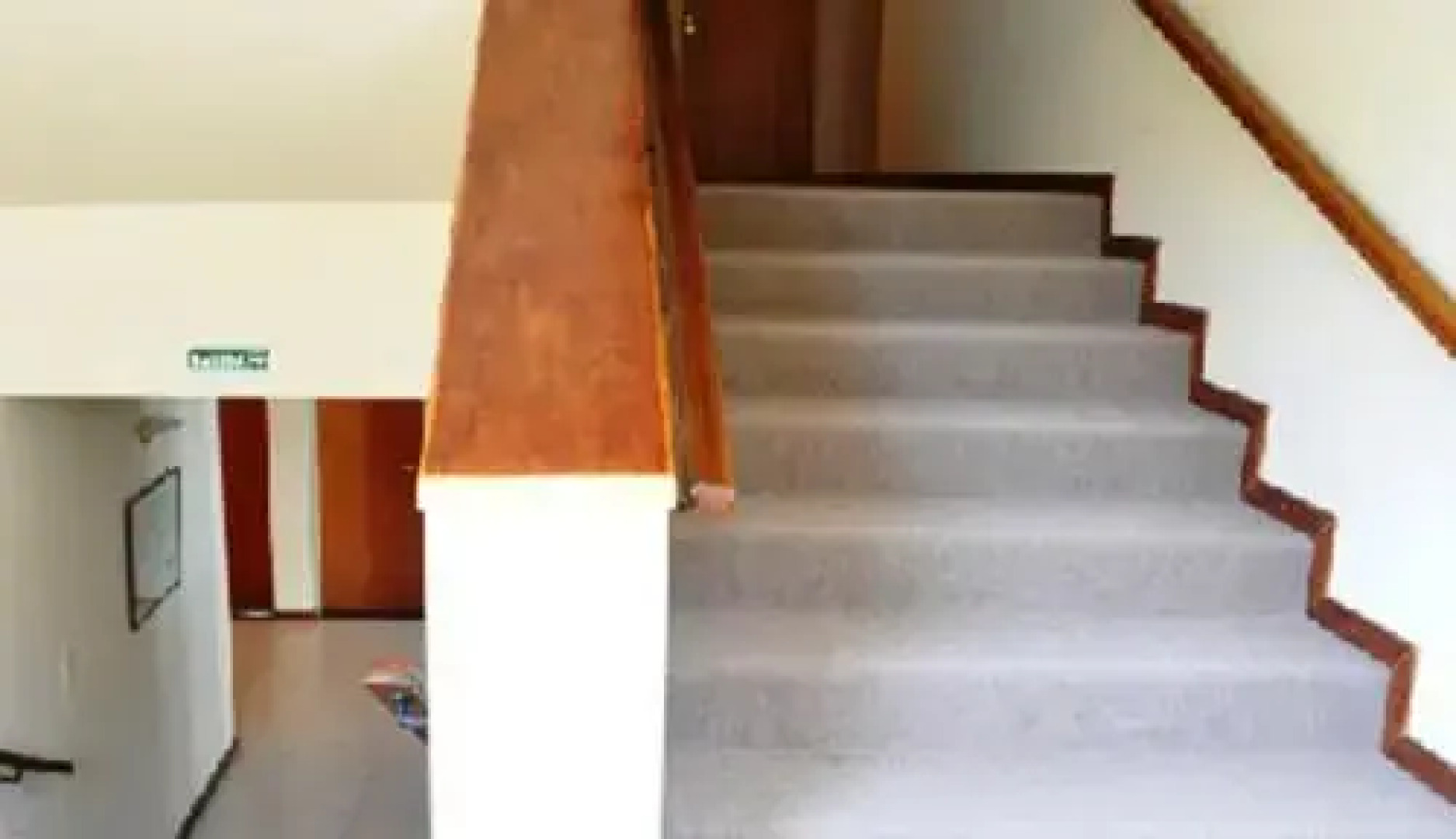 Hotel Patagonia Norte