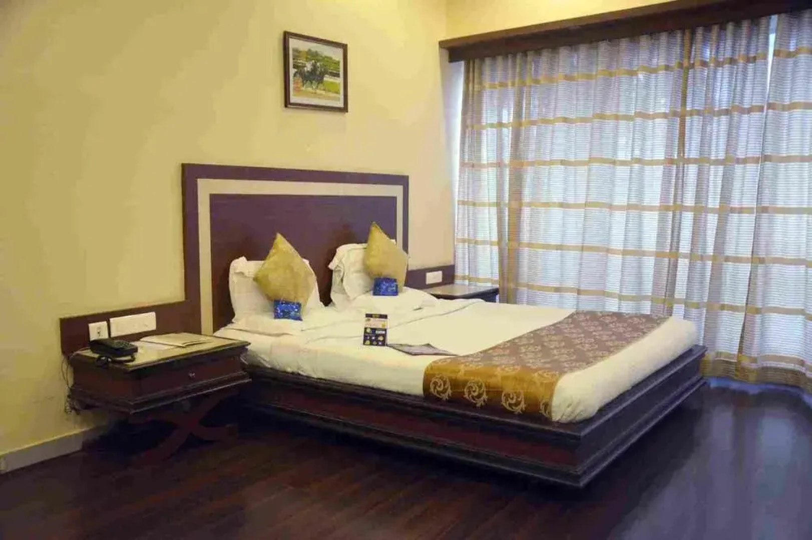 OYO Premium Vidya Nagar