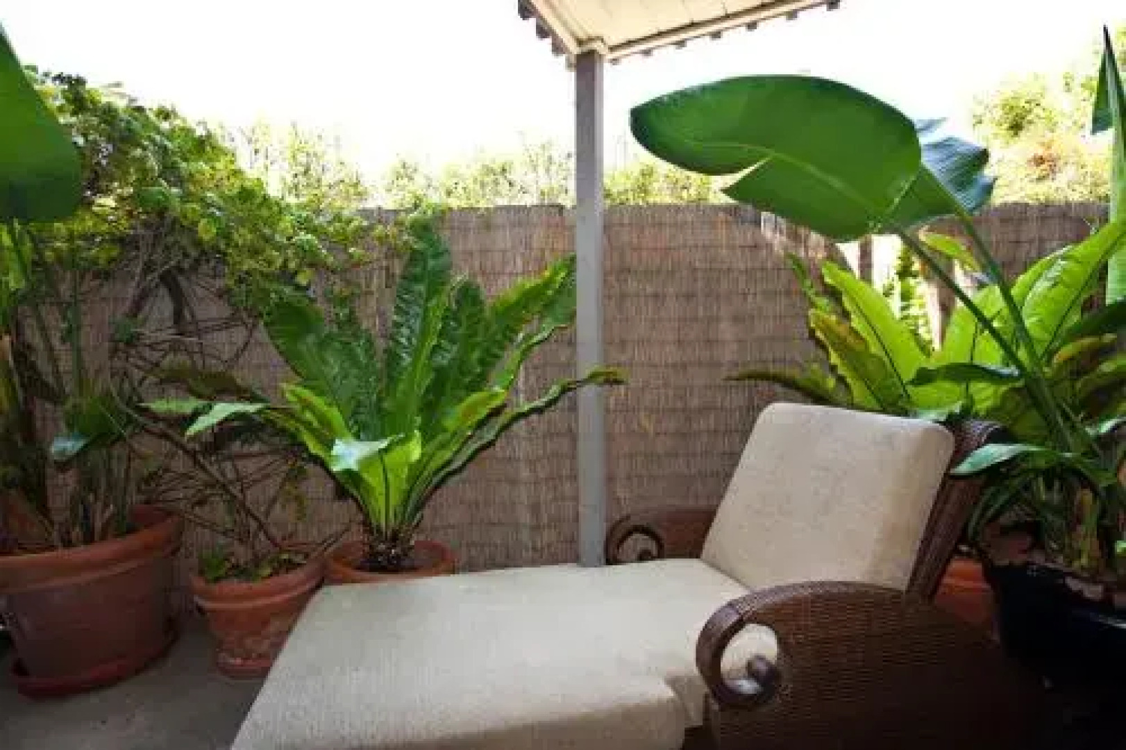 Del Mar Shores Terrace - 2 Br Condo