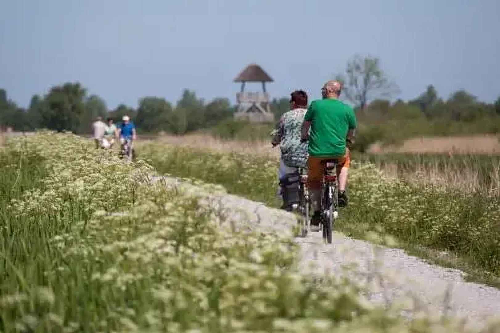 Vakantiehuis Camping It Wiid