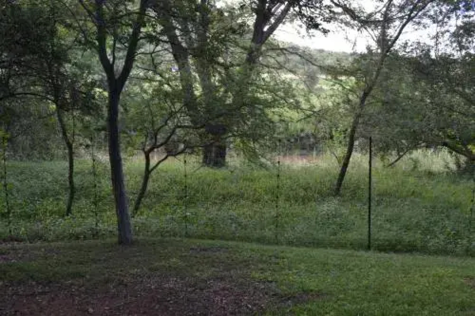 Bonamanzi Guest House