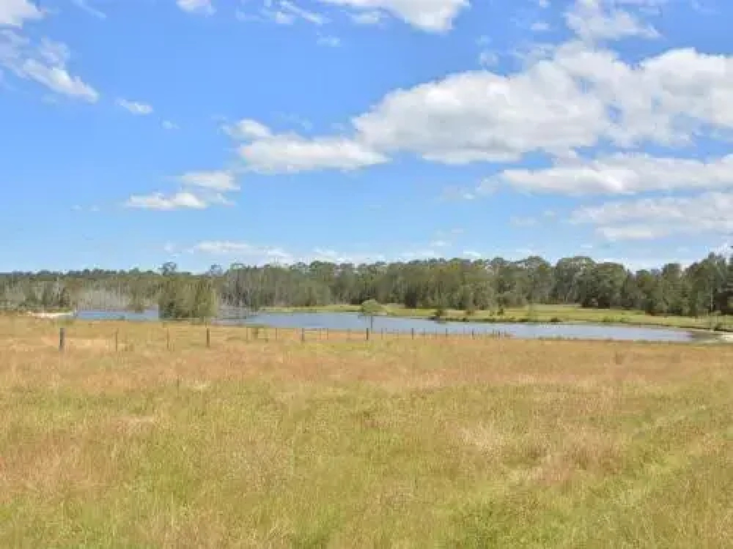 Grasmere Estate Homestead - hear the Lions roar from nearby Hunter Valley Zoo