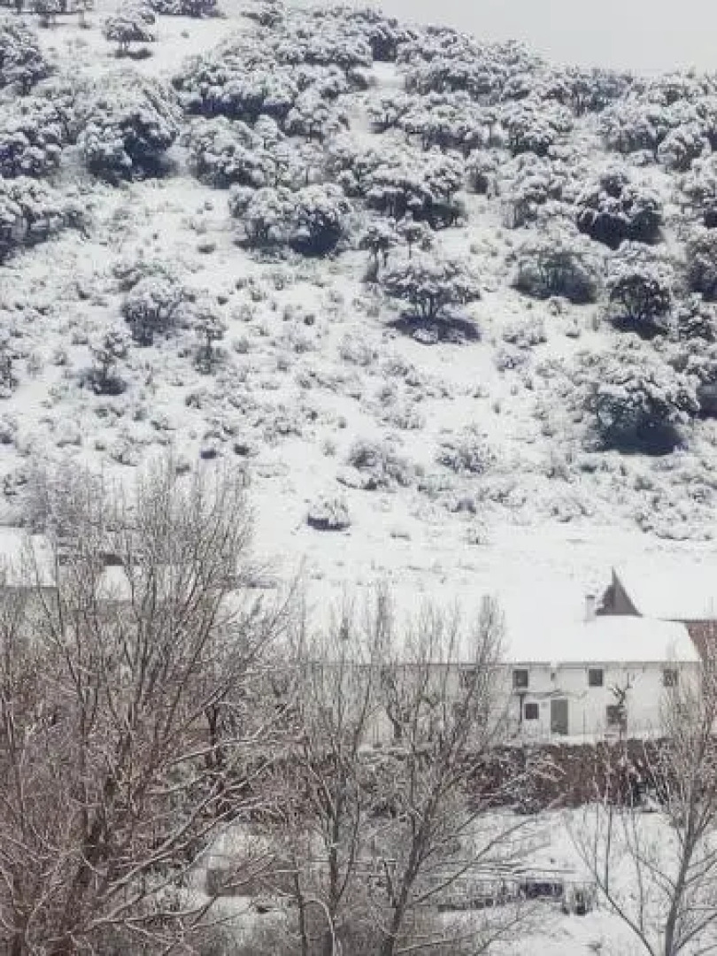 Casa Rural El Cortijo Nuevo