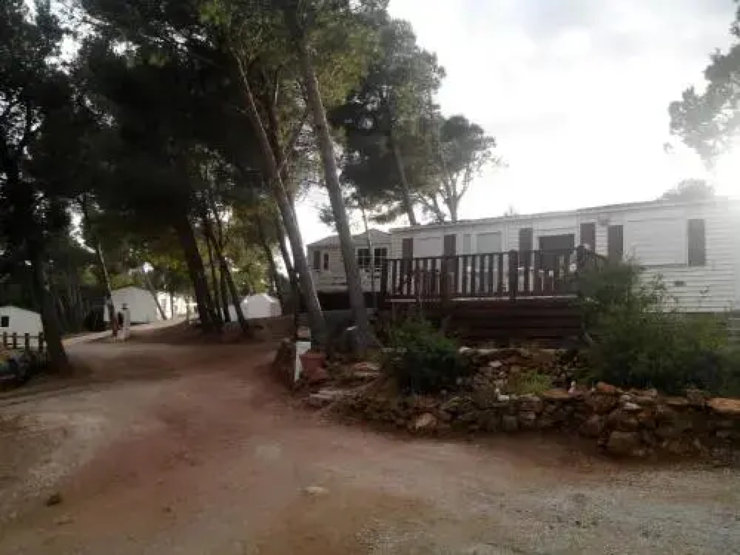 Camping Le Bois De Pins