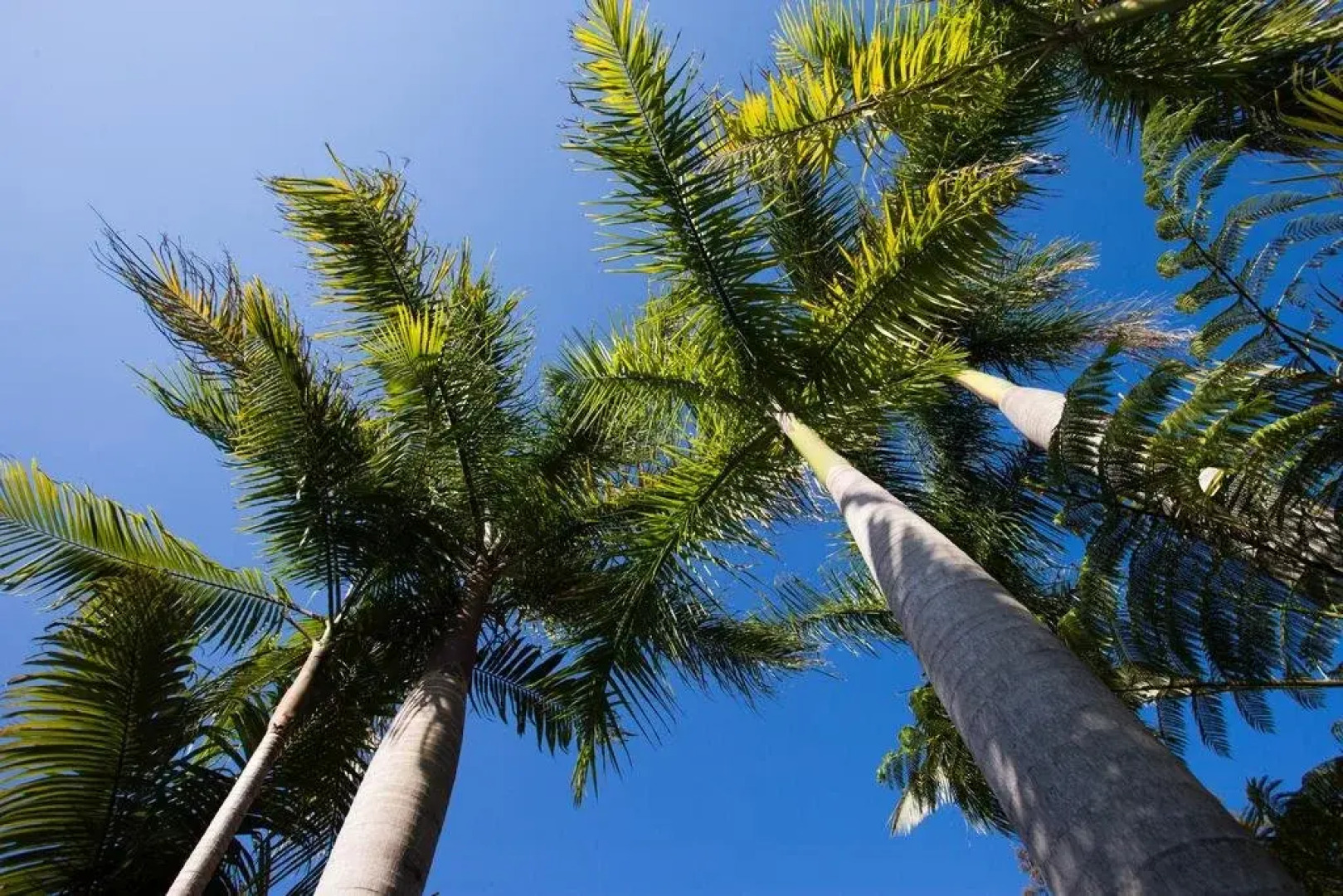 Jacaranda Villa Coffs Harbour