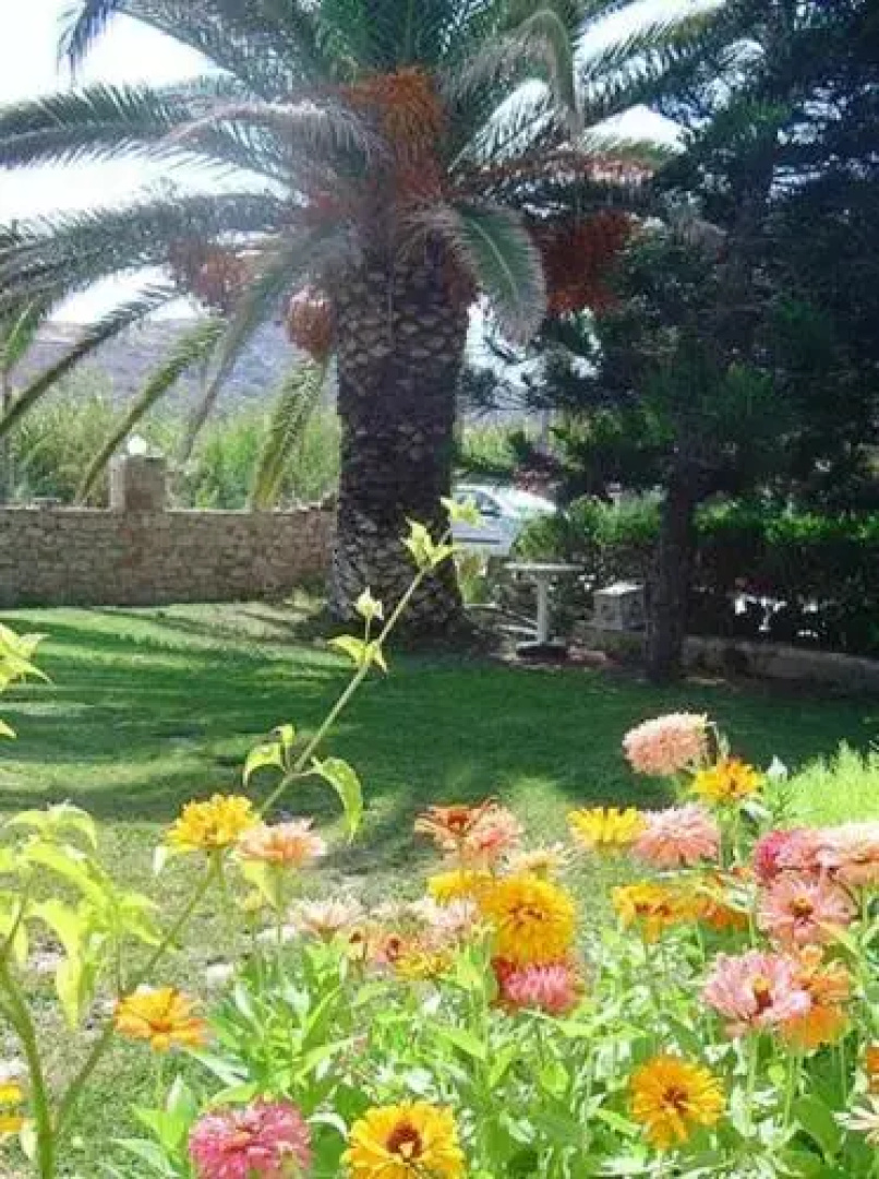 Dimitra Apartments