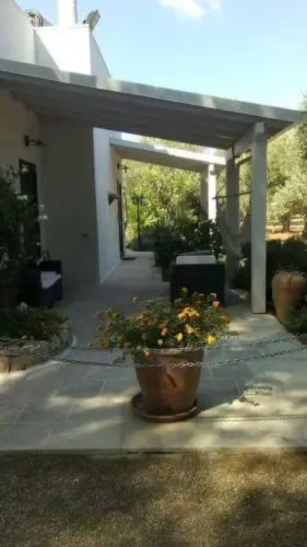 B&B Quasimare