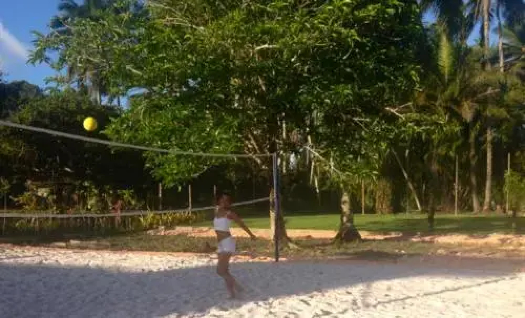 Alma Tropical Resort