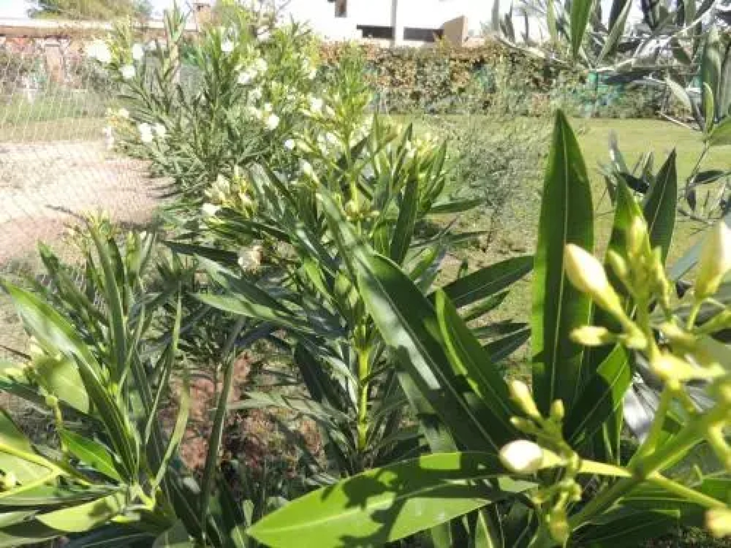 La Ribera Home & Rest Mendoza