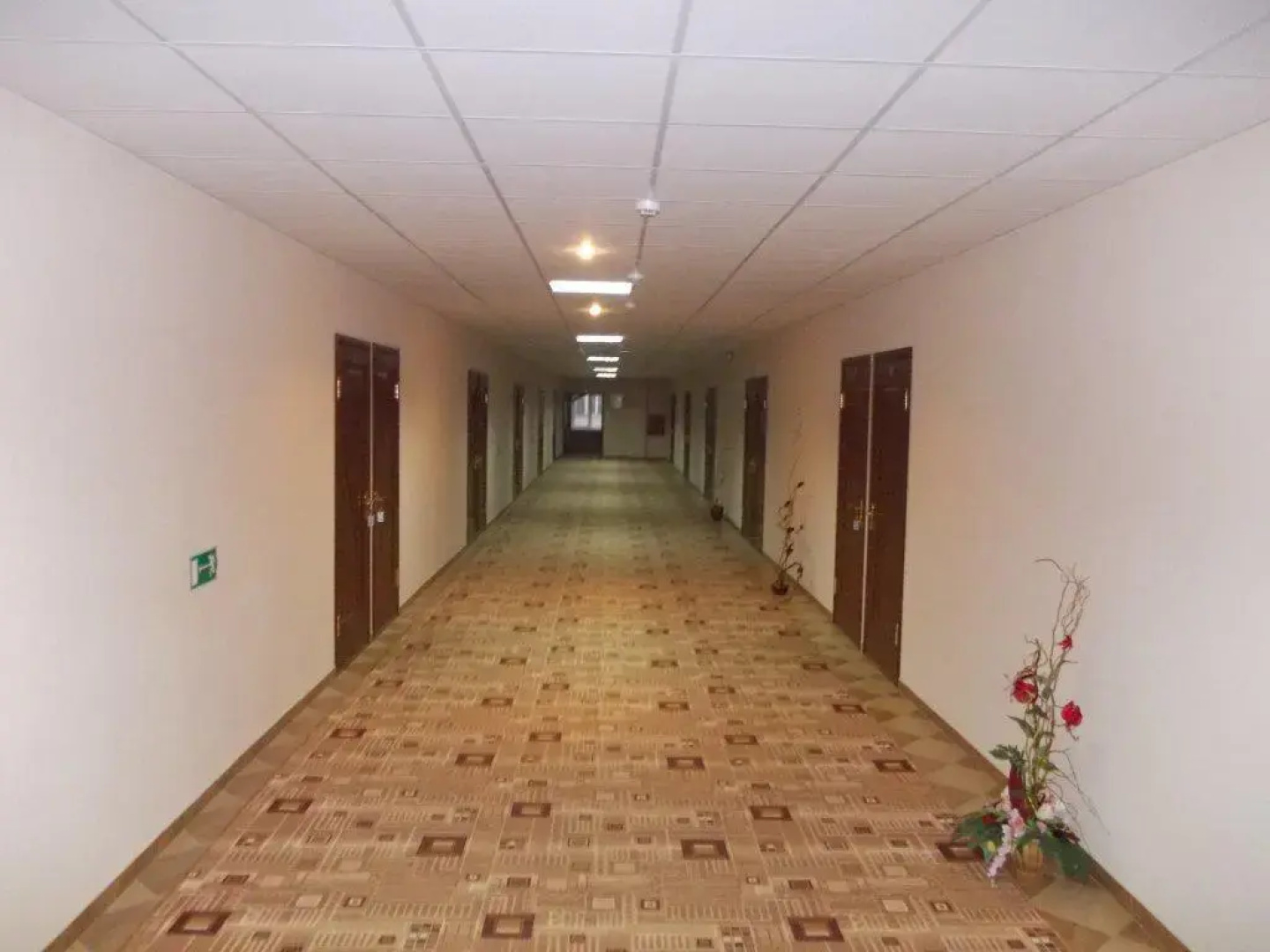 Отель Фиалка