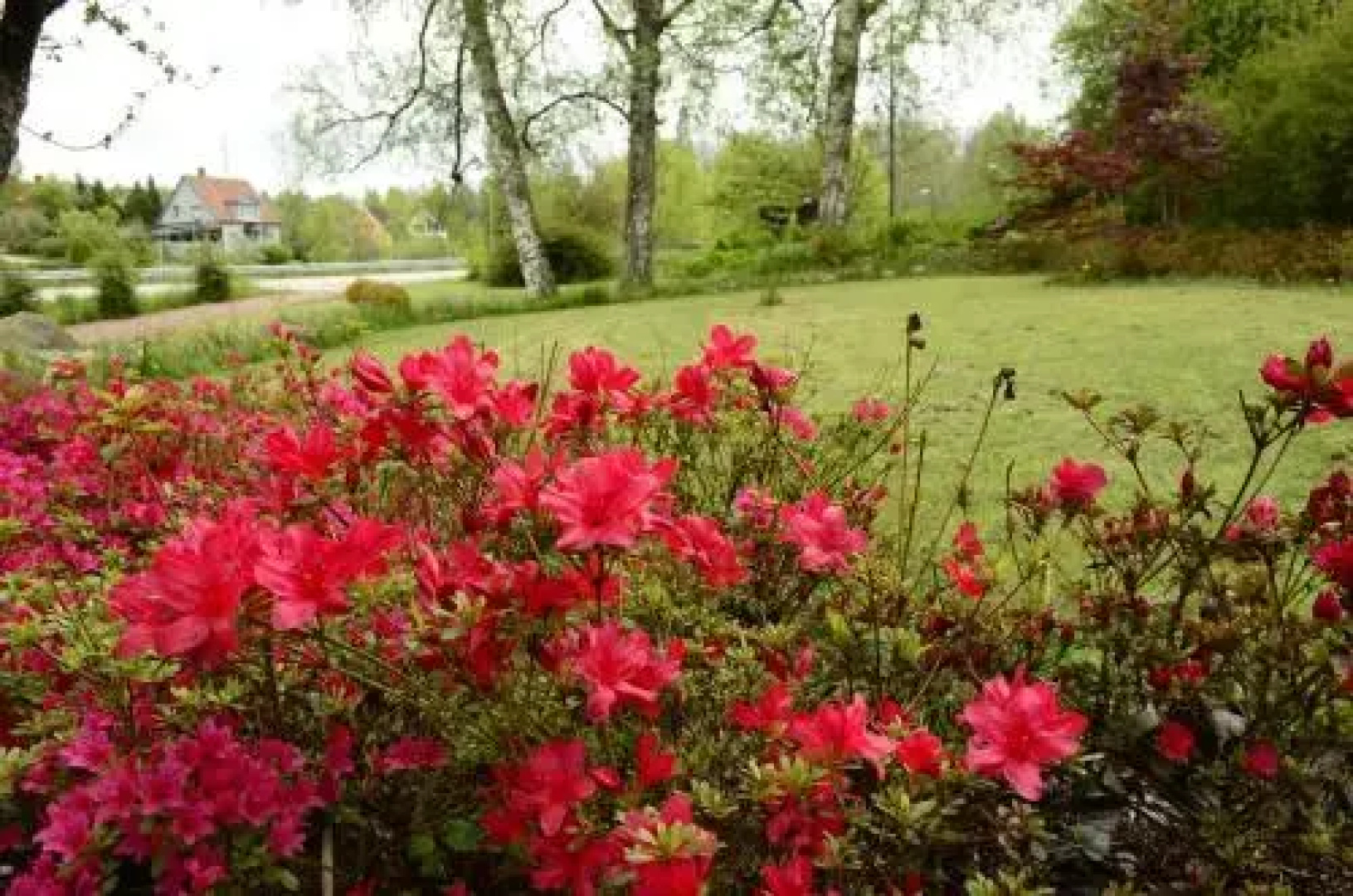 The Morrum River Bed and Breakfast