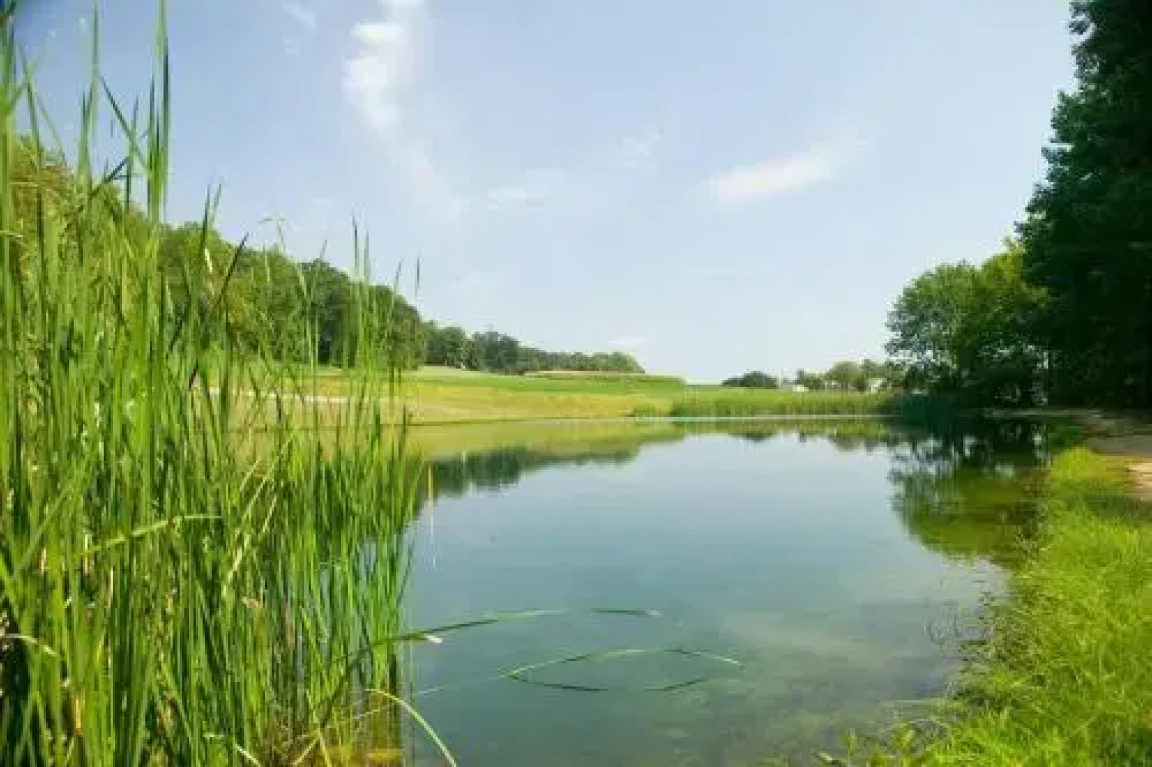 Spring Gulch A-Frame House 8