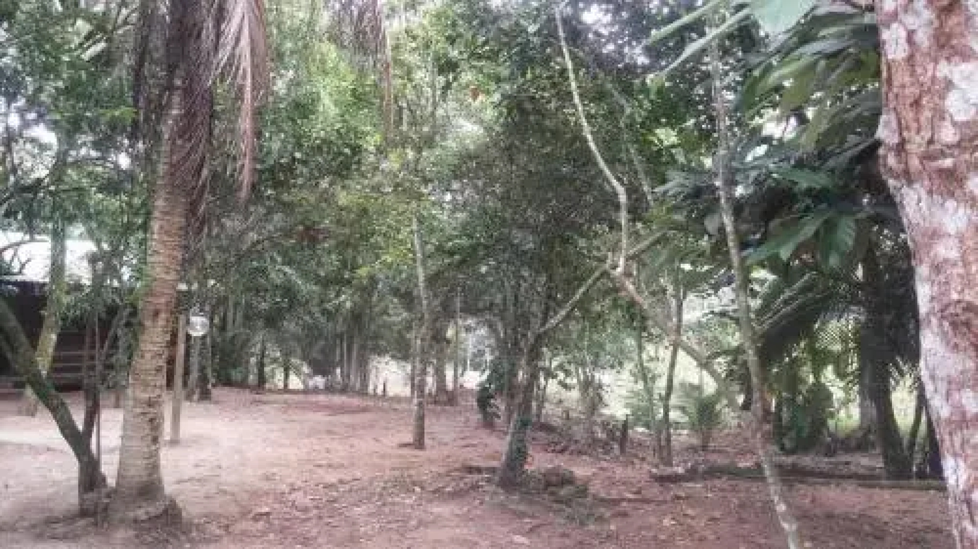 Amazon Hostel Iranduba