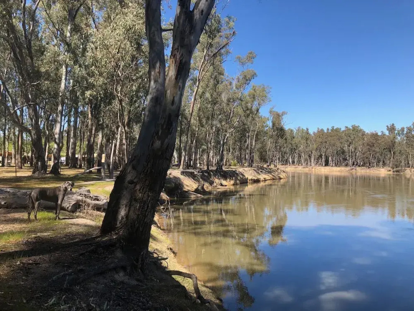 Barmah Bridge Caravan Park