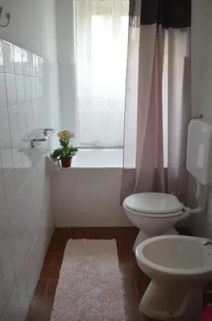 Le Fate Dei Fiori