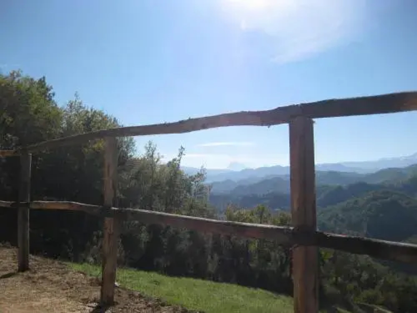 Al Canto del Gallo