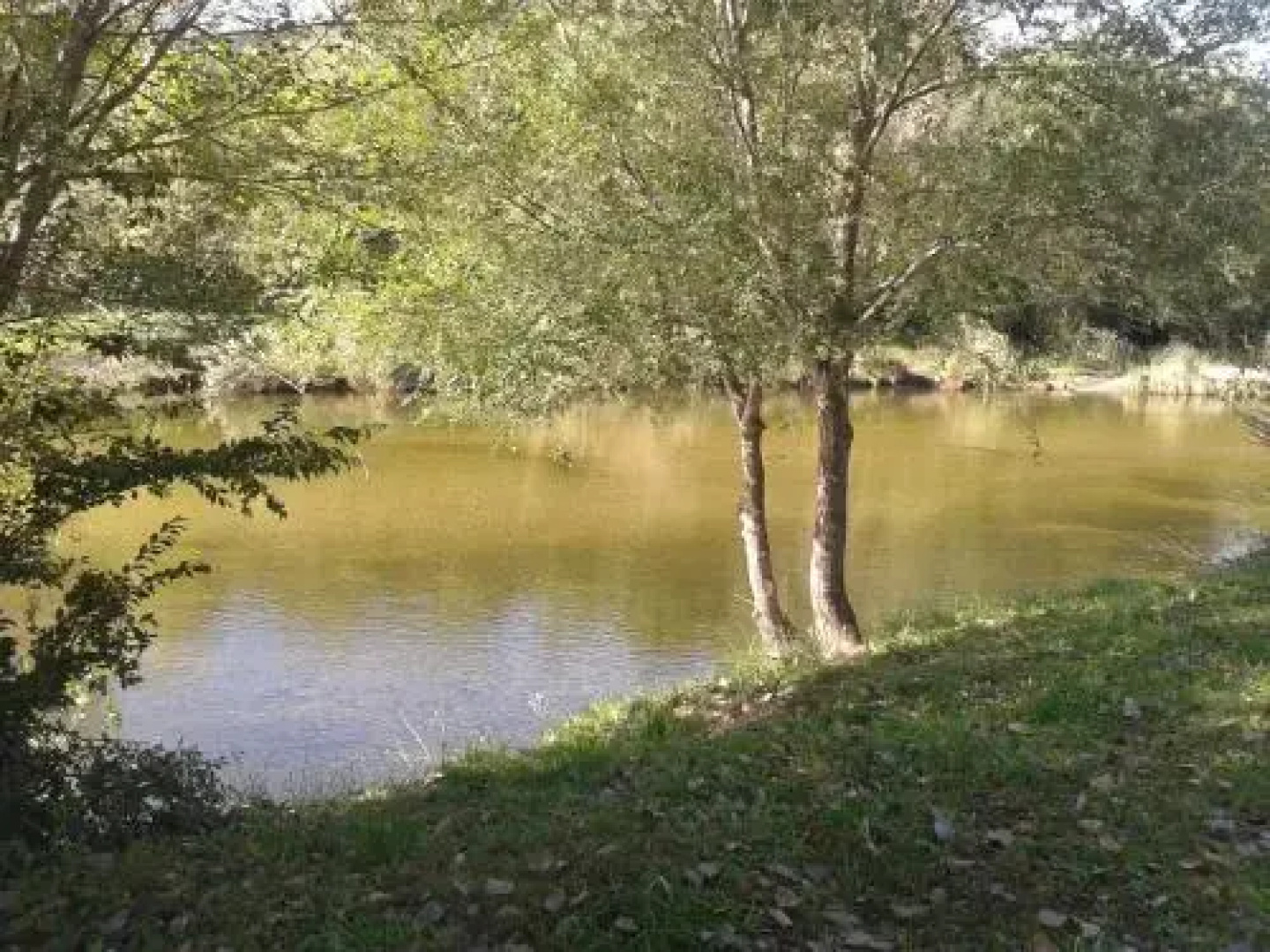 Ensueño Cabañas