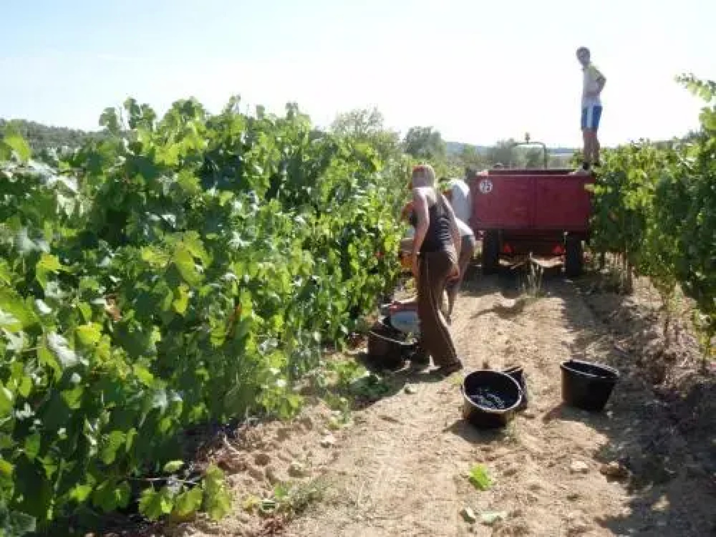 Les Remparts de Cuculles