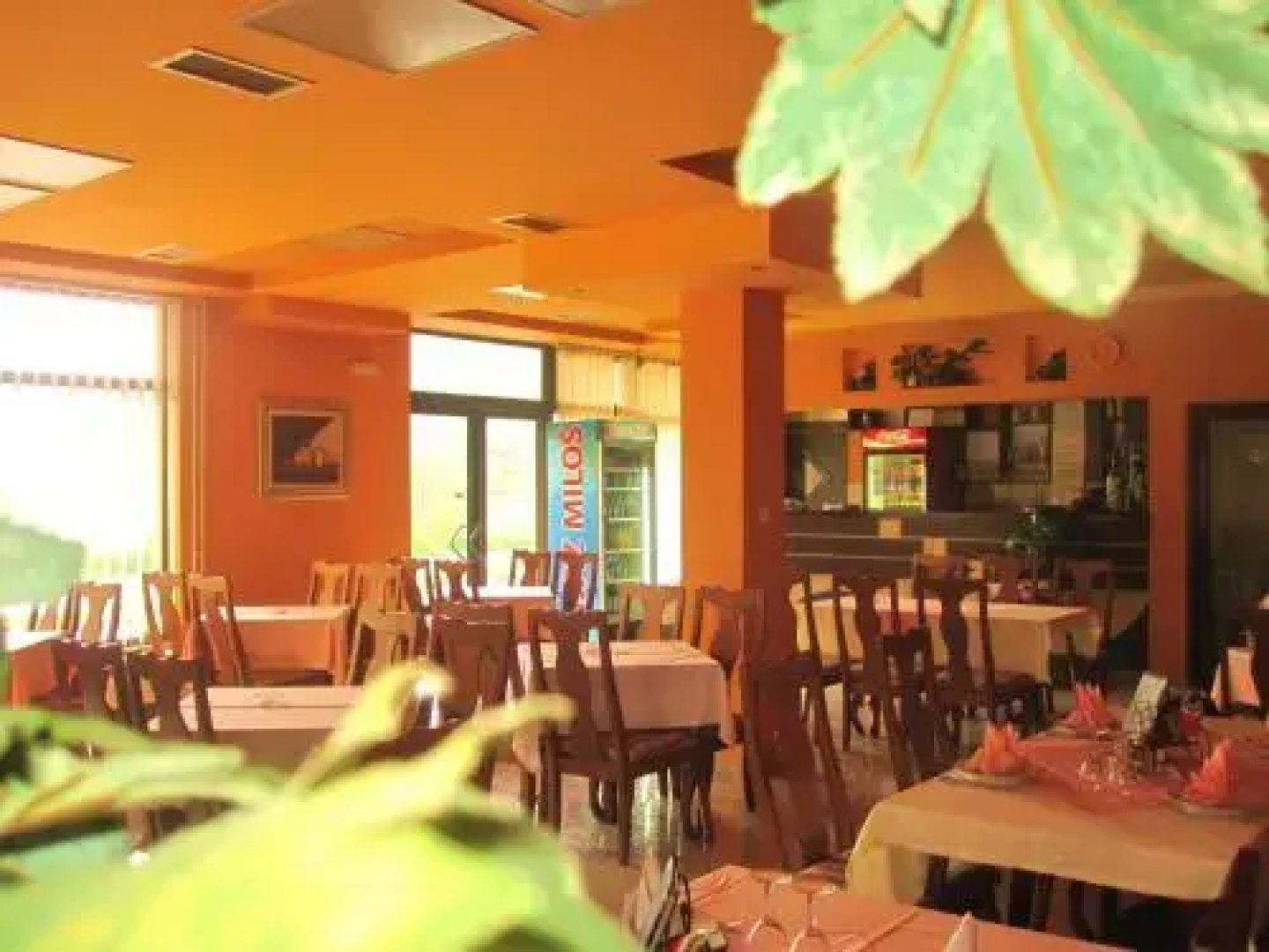 Motel Jagodic