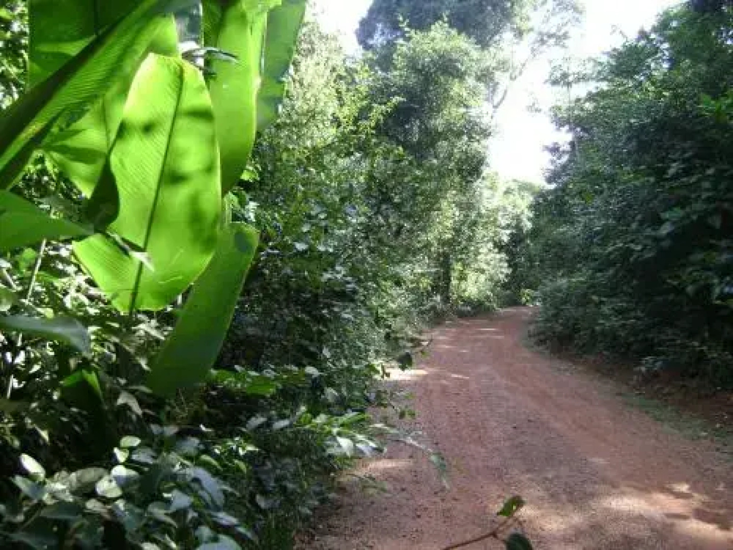 Pousada Jardim da Amazônia