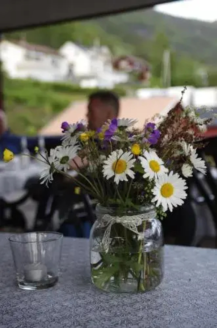 Viking Camping og Kro