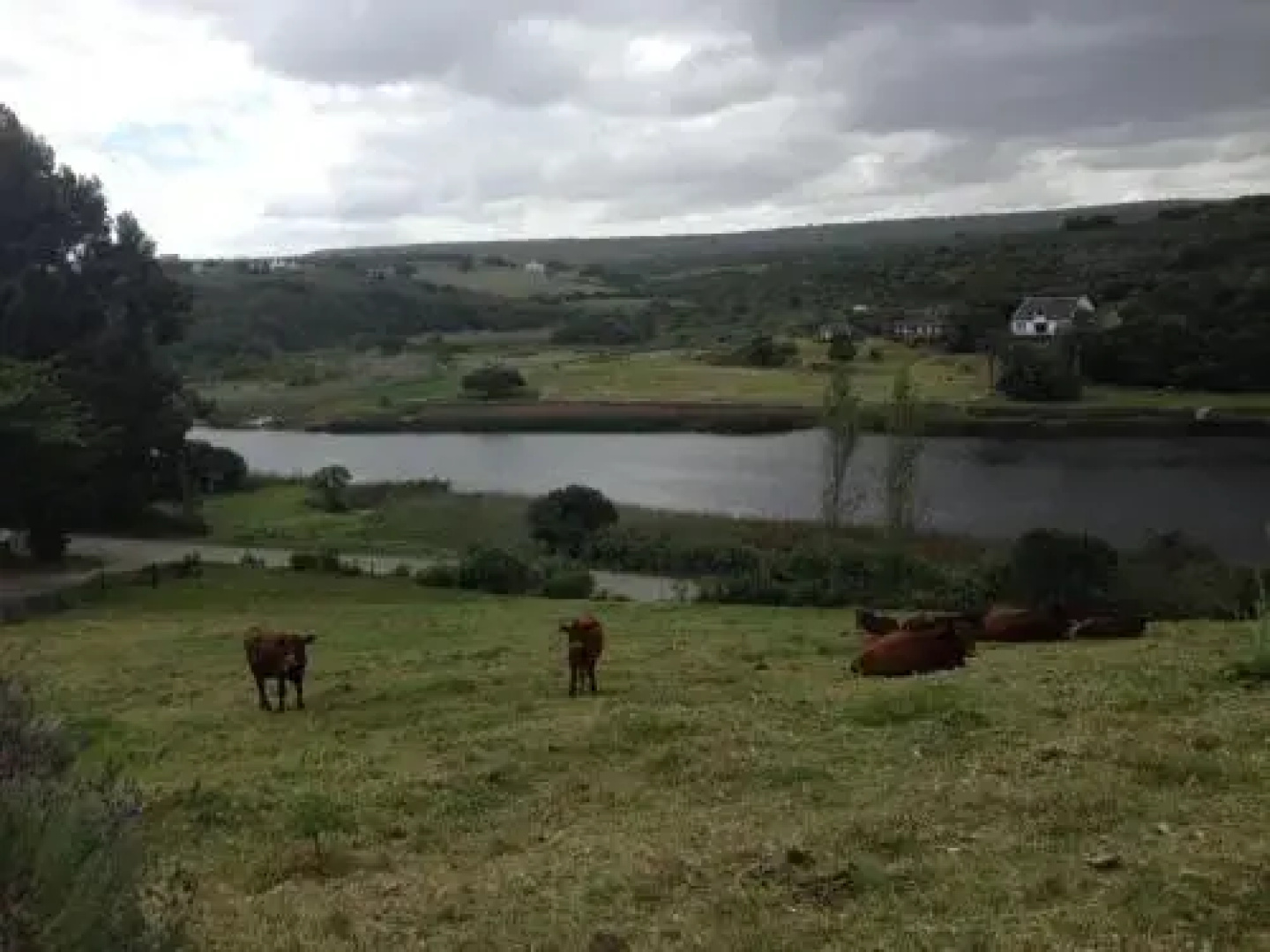 Waterryk Guest Farm