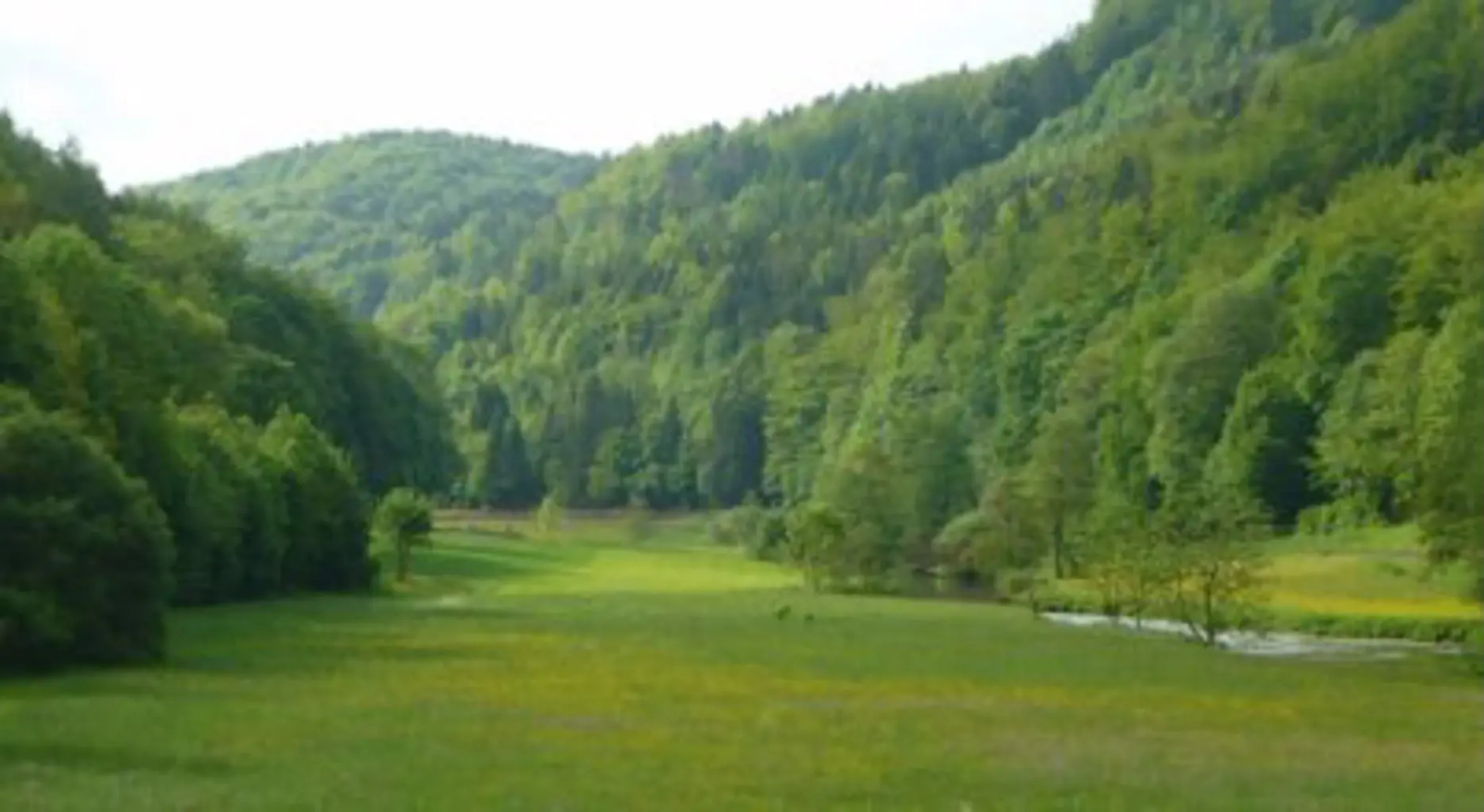 Hotel-Gasthof Frankengold