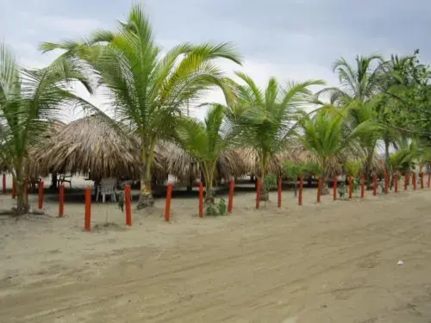 Hotel Puerto Arturo