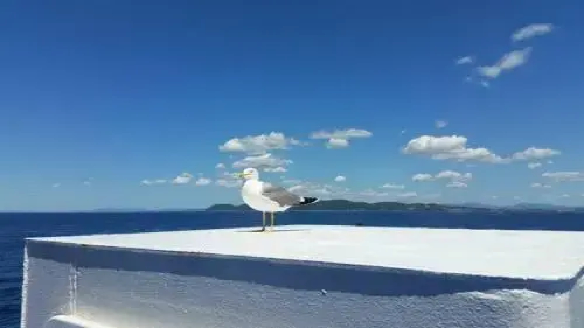 L'Angolo Di Rio Marina