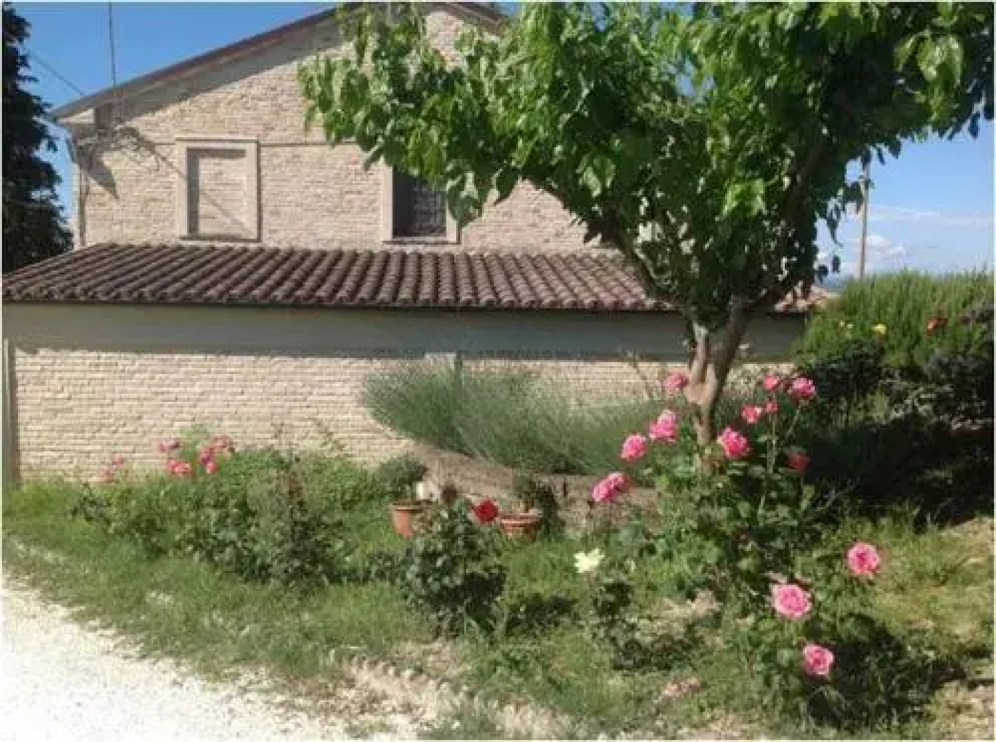 Allombra degli Ulivi B&B