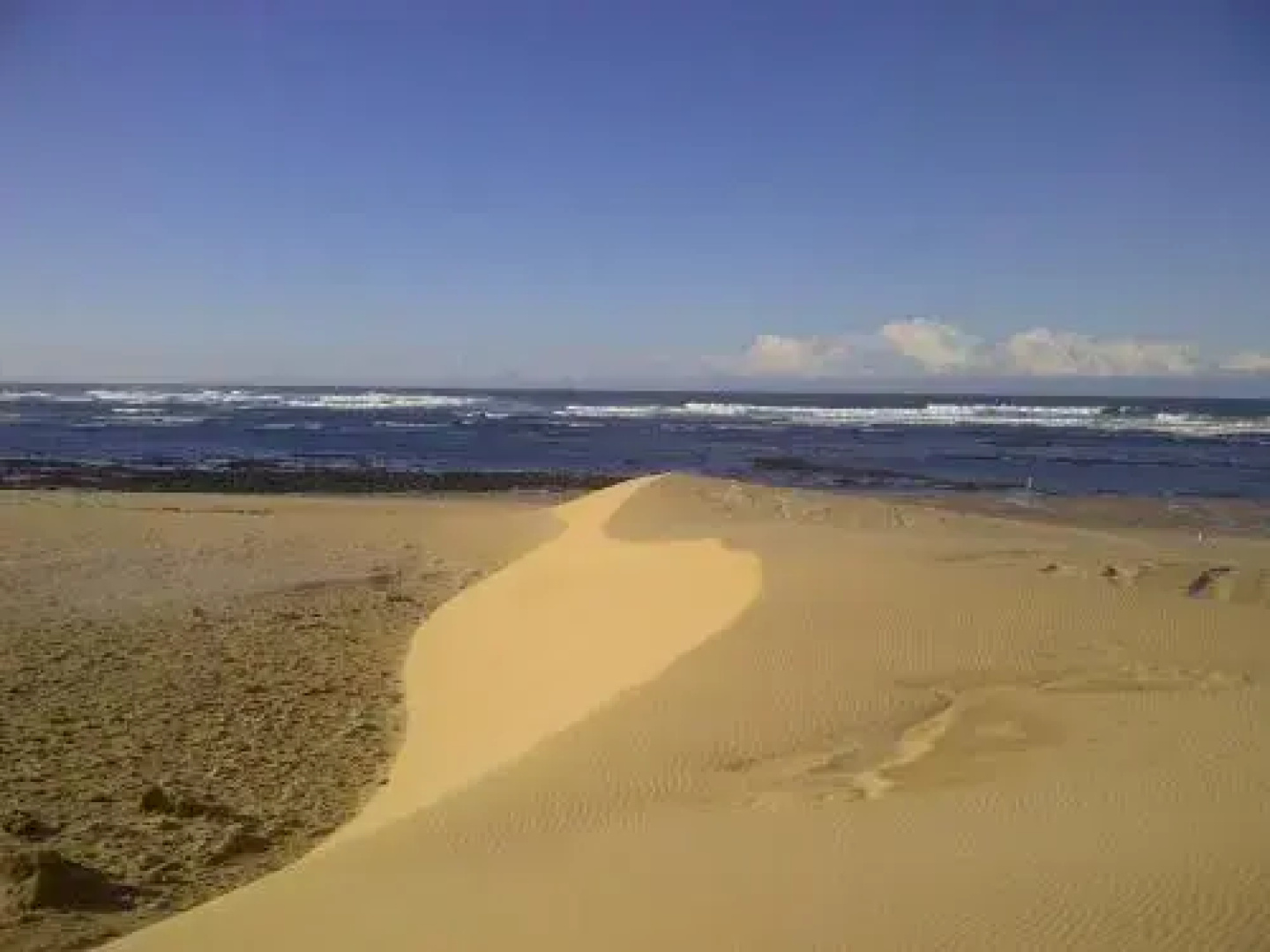 Beached House on Golden Sanddunes