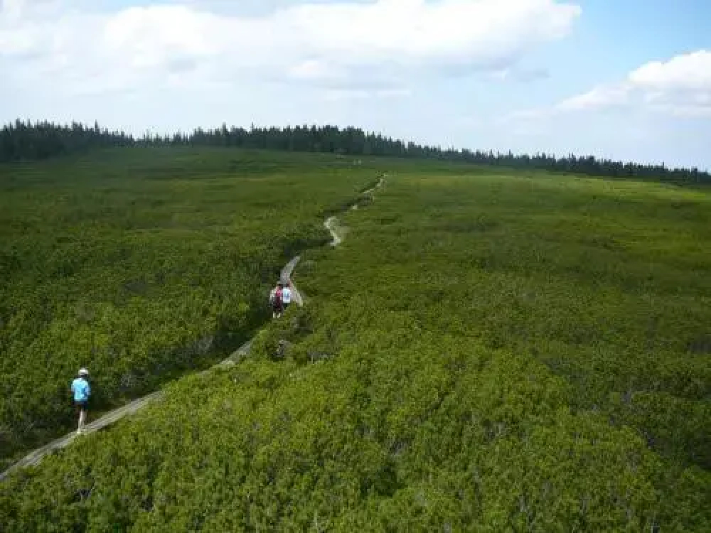 Apartmajsko naselje Ribniško Pohorje