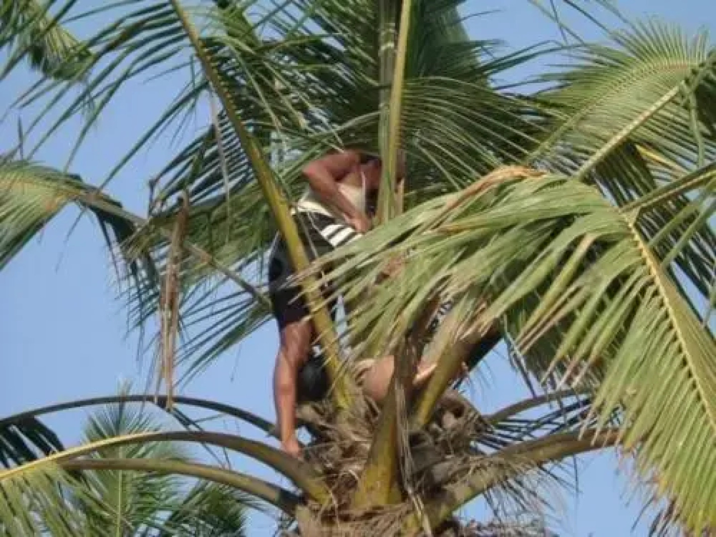 Induruwa Beach Villa