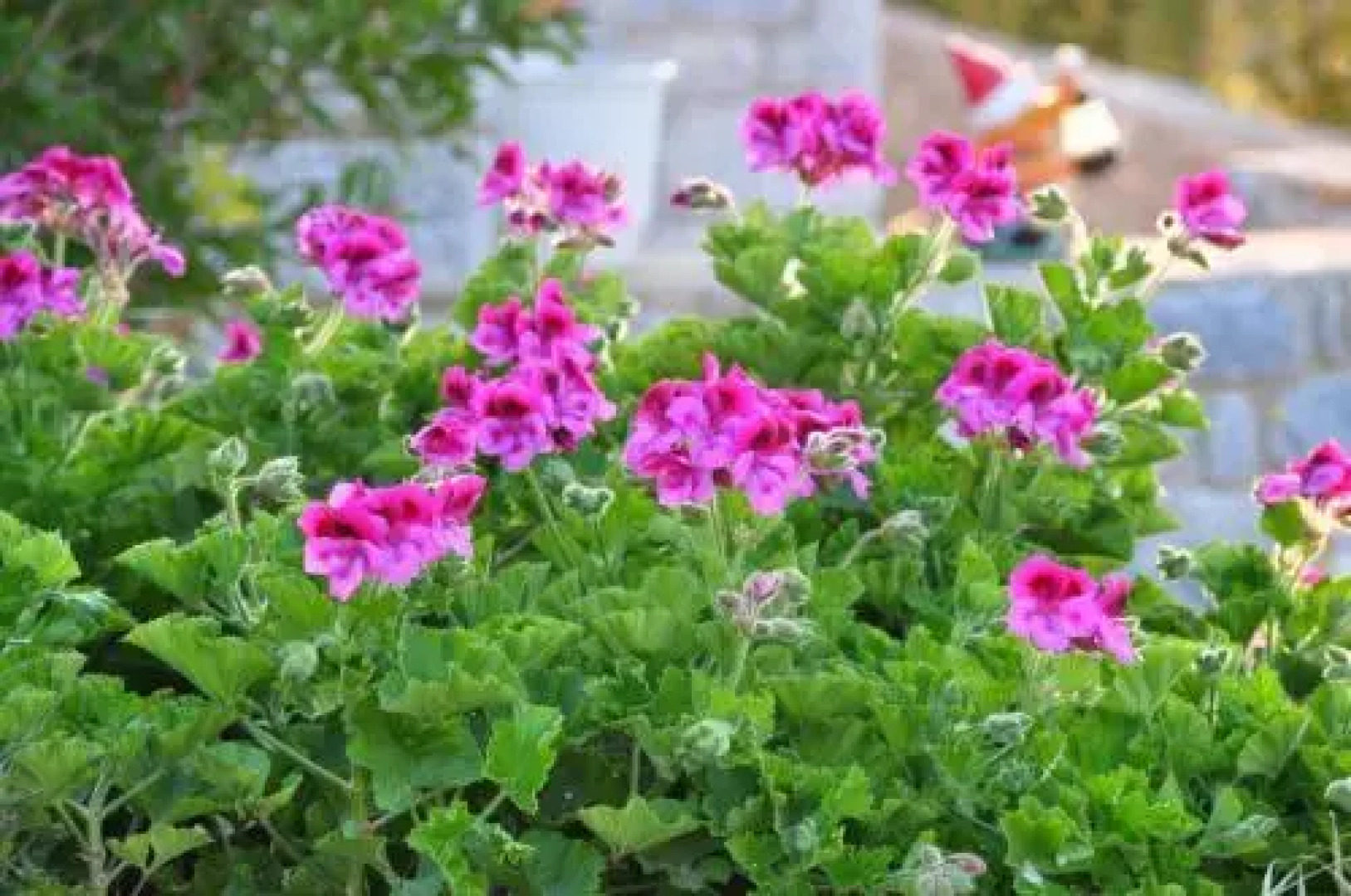 Traditional House Plagiaki