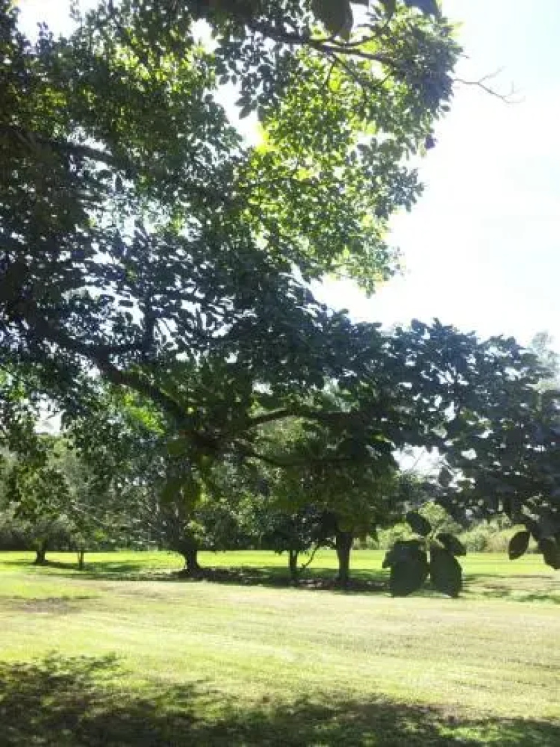 Centro de Recreo