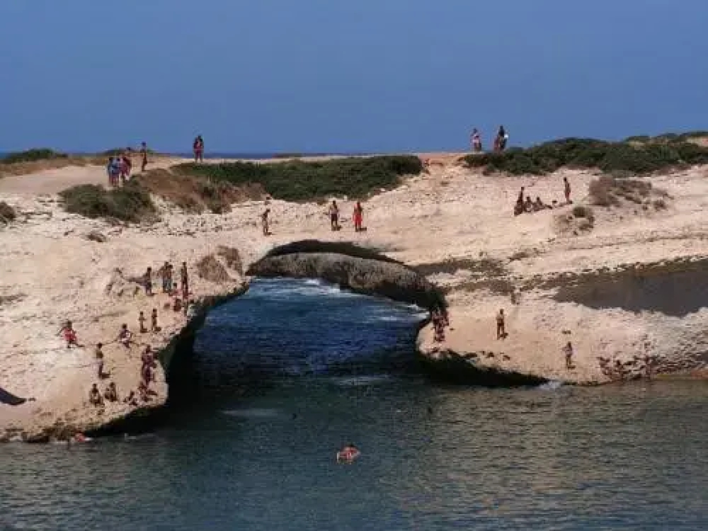 b&b il Fenicottero rosa