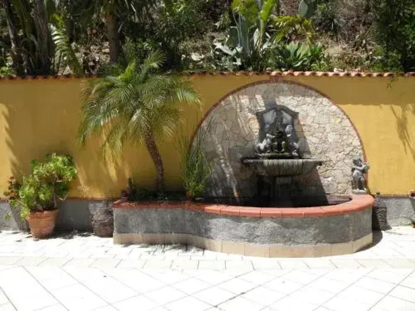 Natura dAlcantara