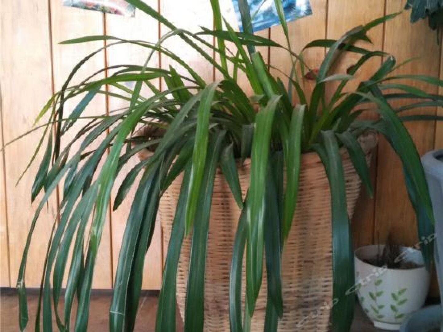 Yuanyang Carve Time Inn