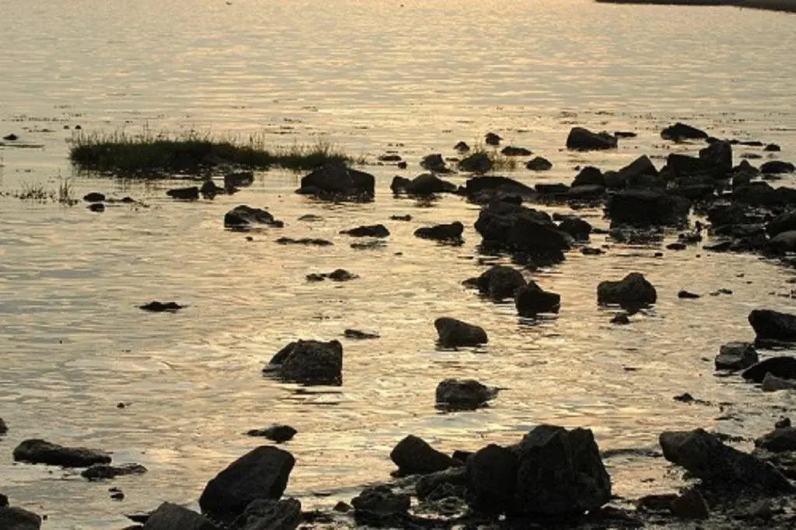 Bij de Weel, Tholen Zeeland