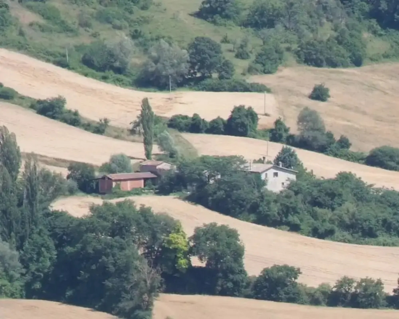 La Carpinella